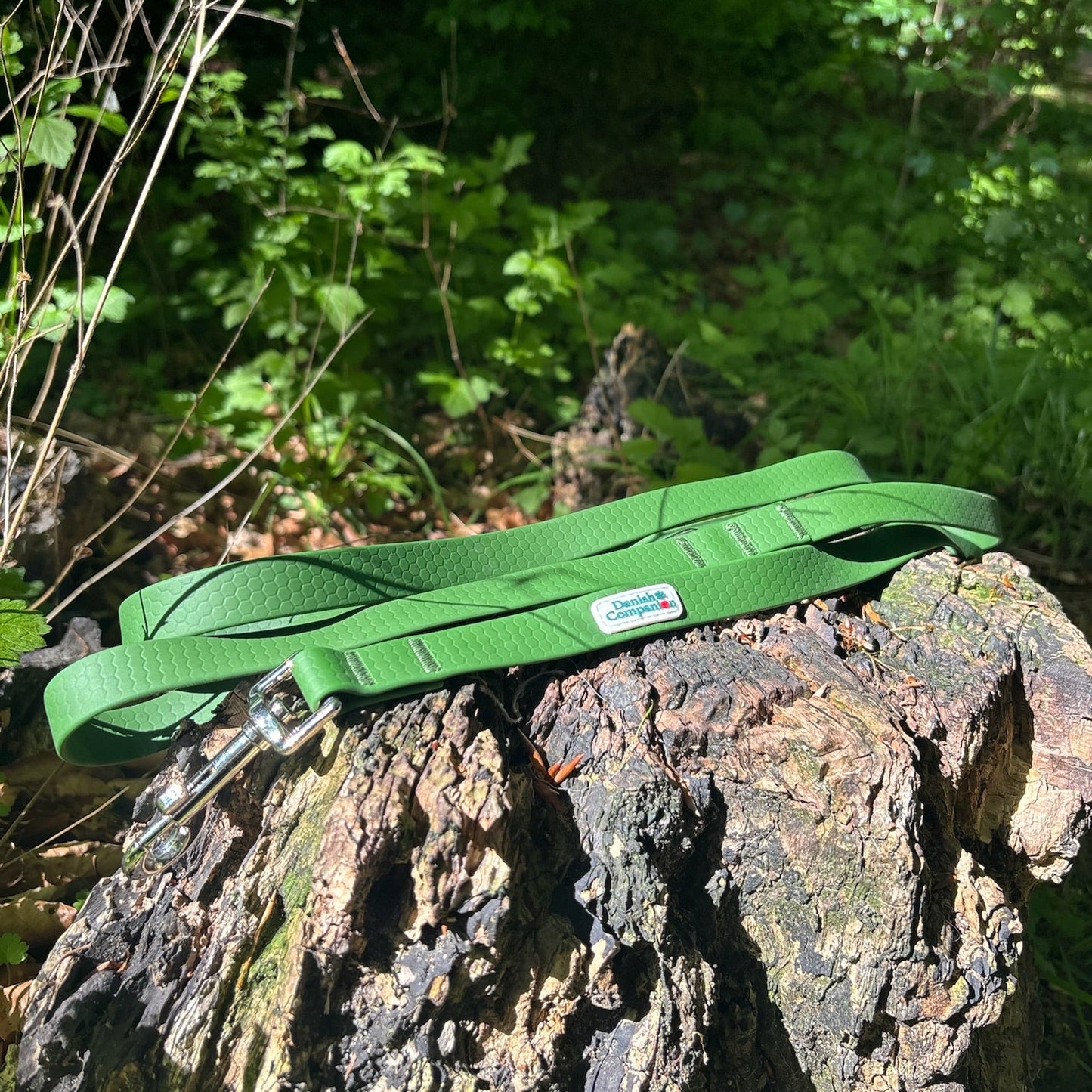Nordic Trail Snor