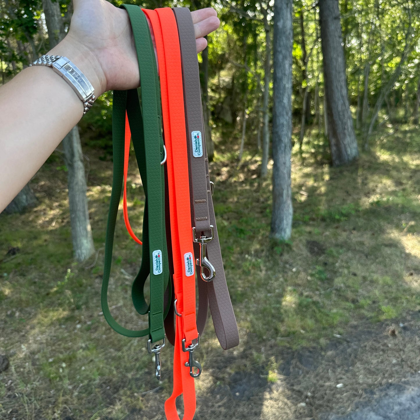 Nordic Trail Snor