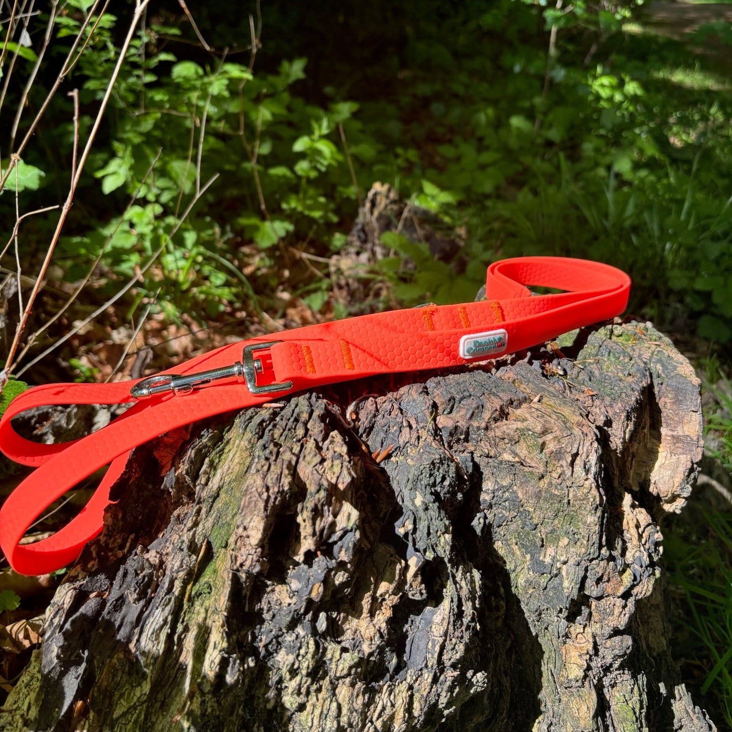 Nordic Trail Snor