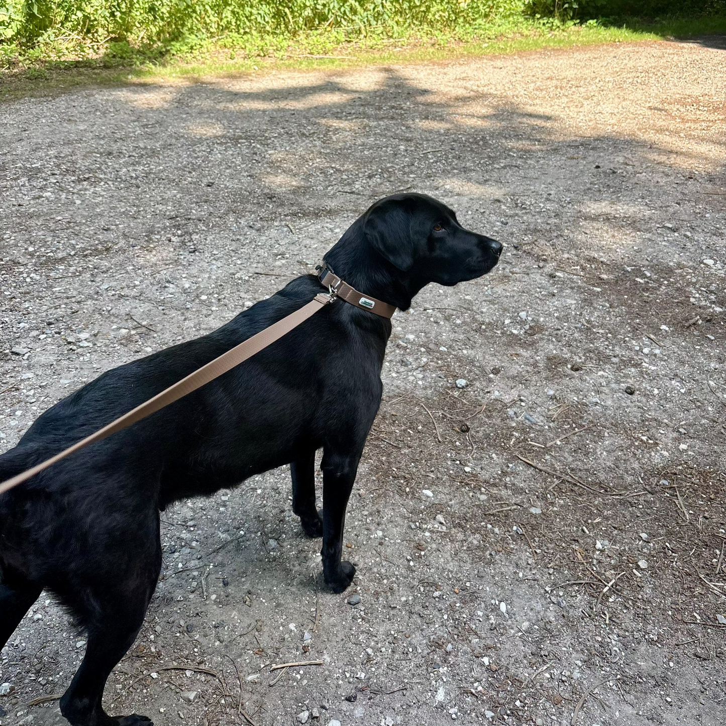 Nordic Trail Snor