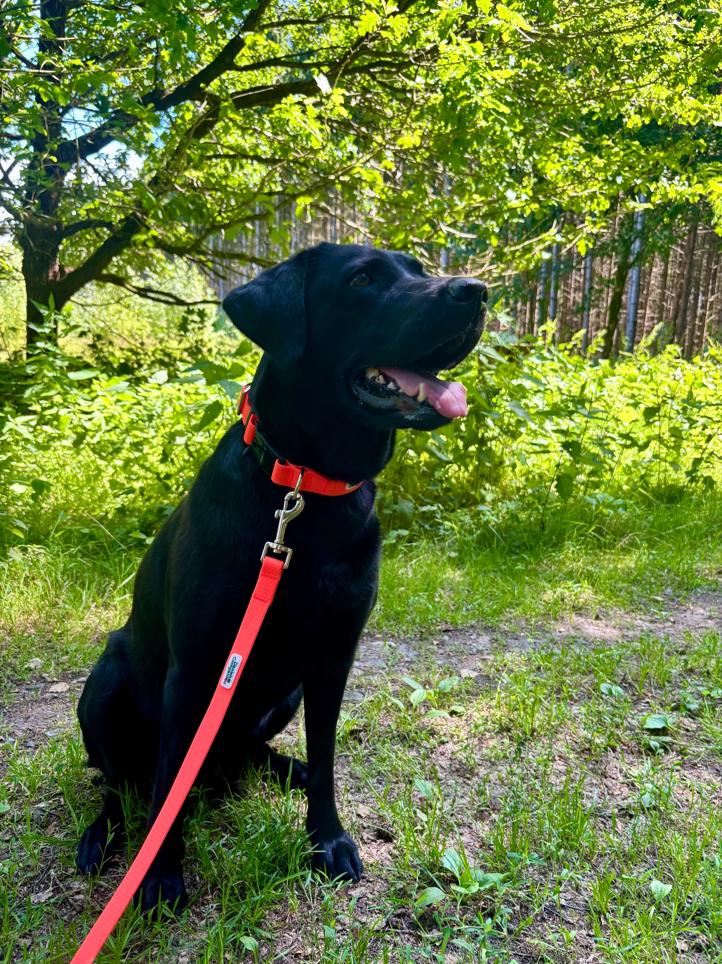 Nordic Trail Snor