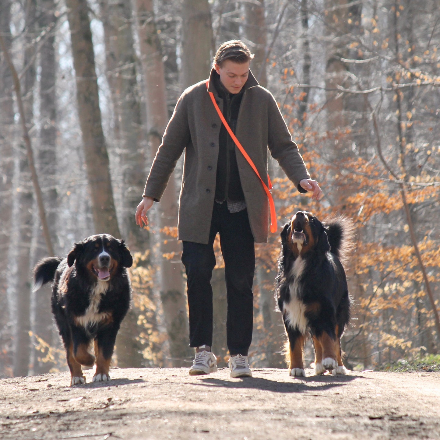 Nordic Trail Snor